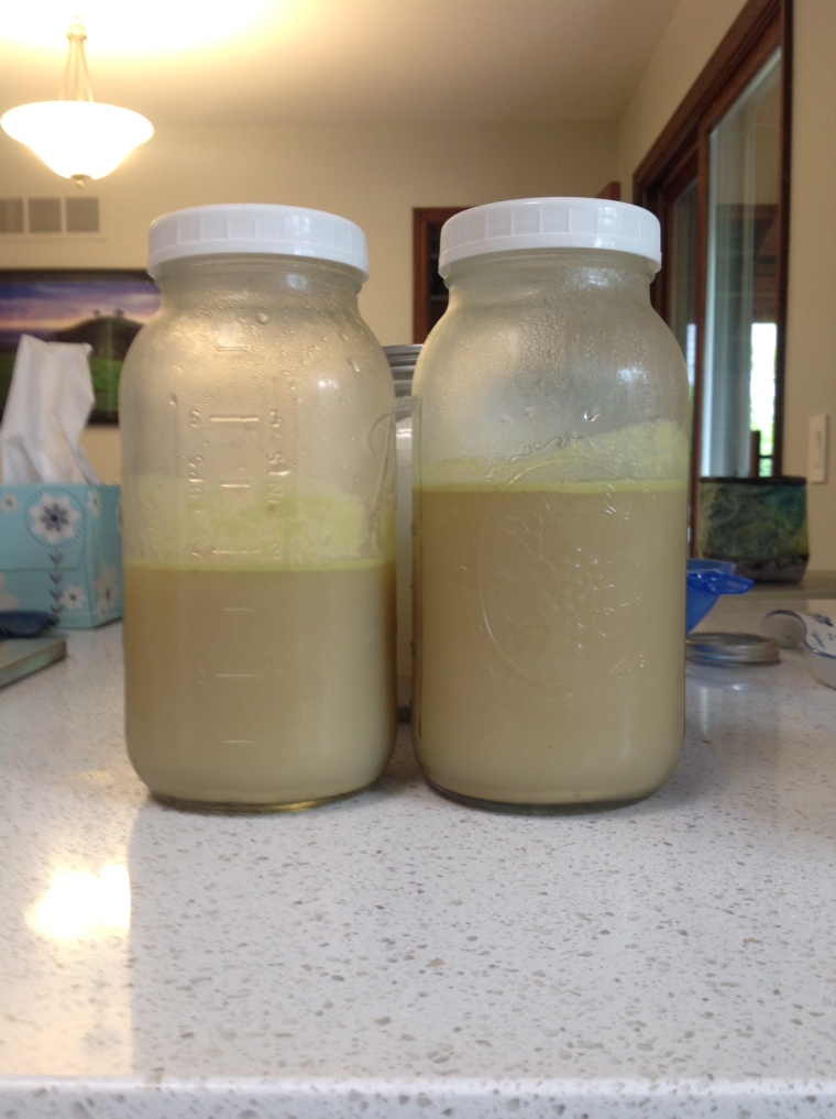 My cooled and jarred chicken broth, full of healthy gelatin!